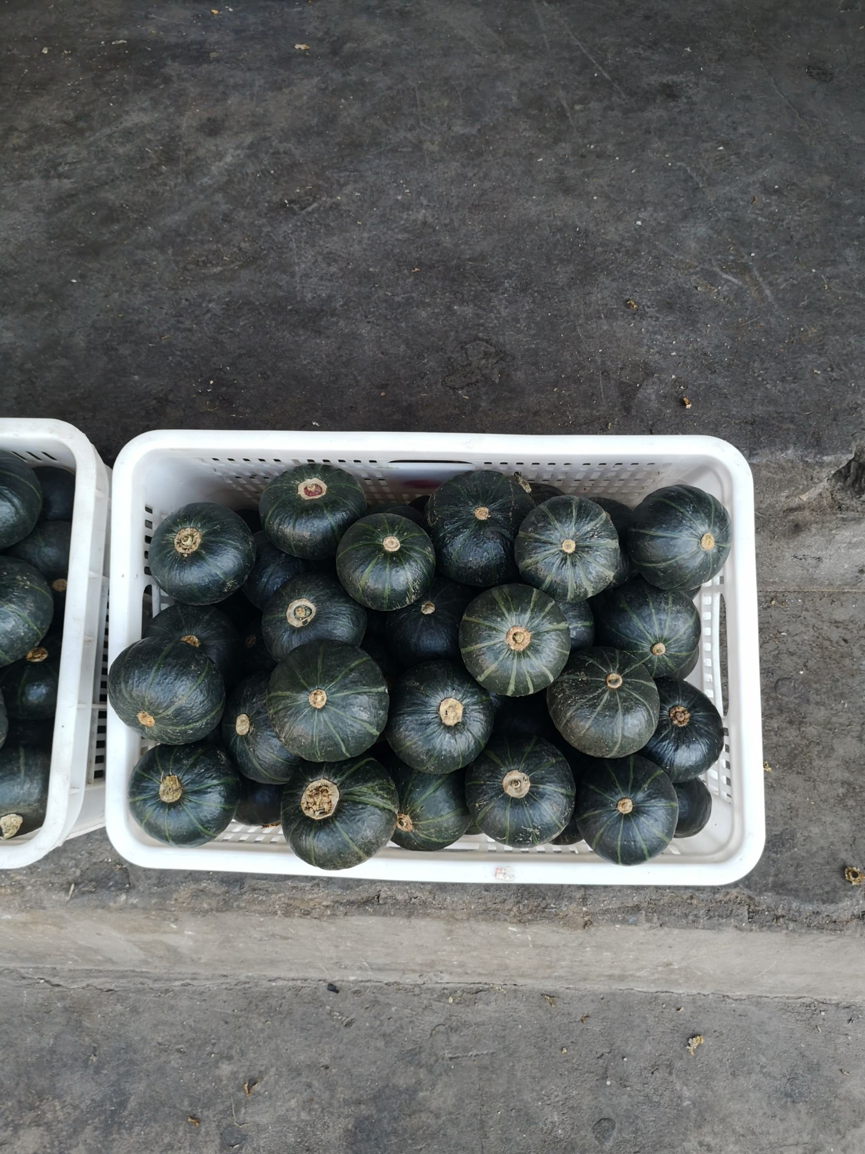  云南贝贝小南瓜小巧甜糯美味