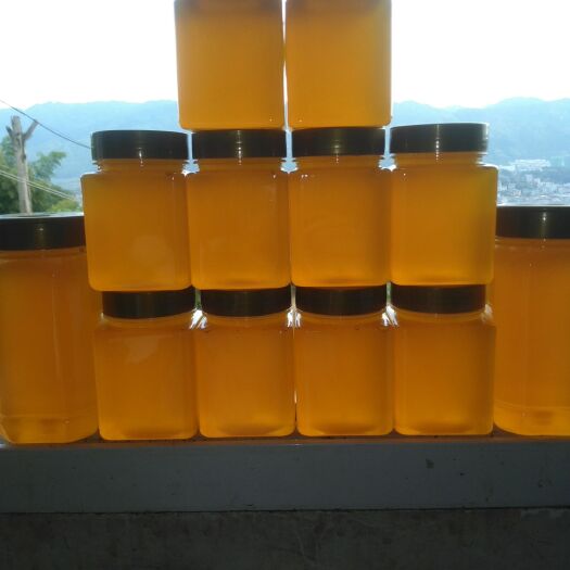 天柱县土蜂蜜 塑料瓶装 2年 