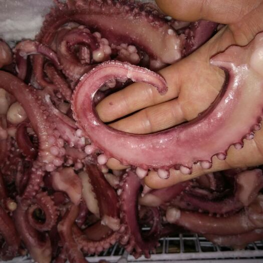 泰州章鱼足 脆口章鱼须