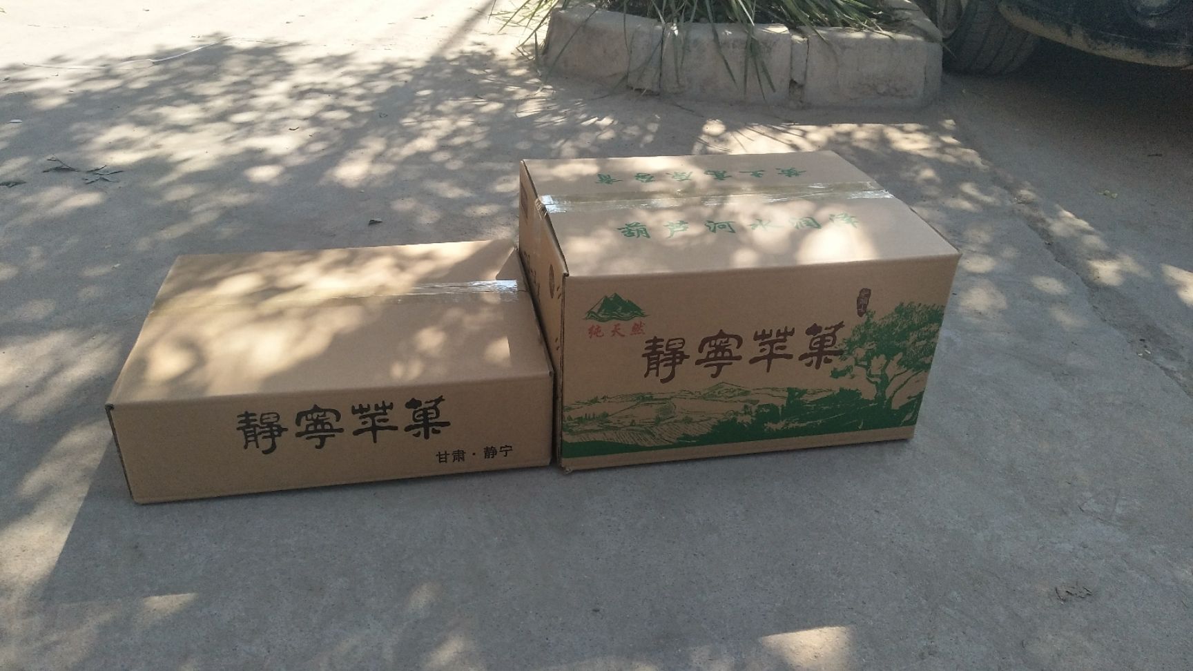  静宁苹果，基地直供
