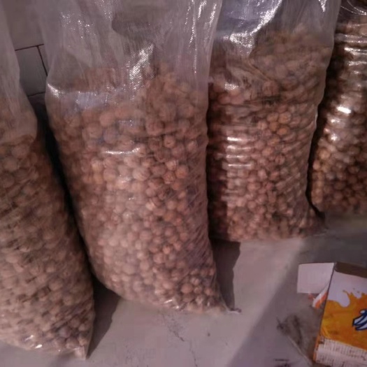左权县 陈年老树核桃