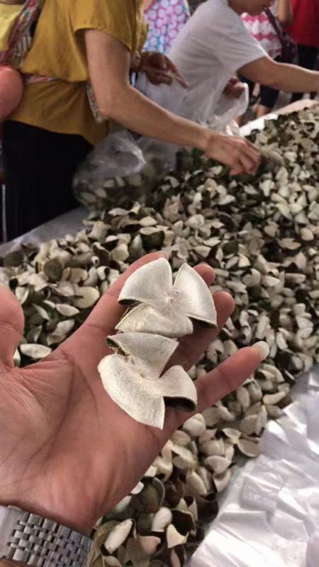 广州 正宗新会陈皮