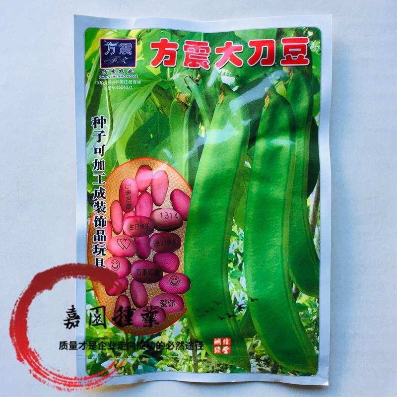 沭阳县刀豆种子苗特长特大巨型红长豆角阳台四季蔬菜农家无架