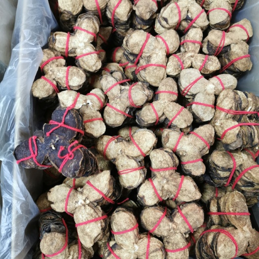 广州 陈皮直销