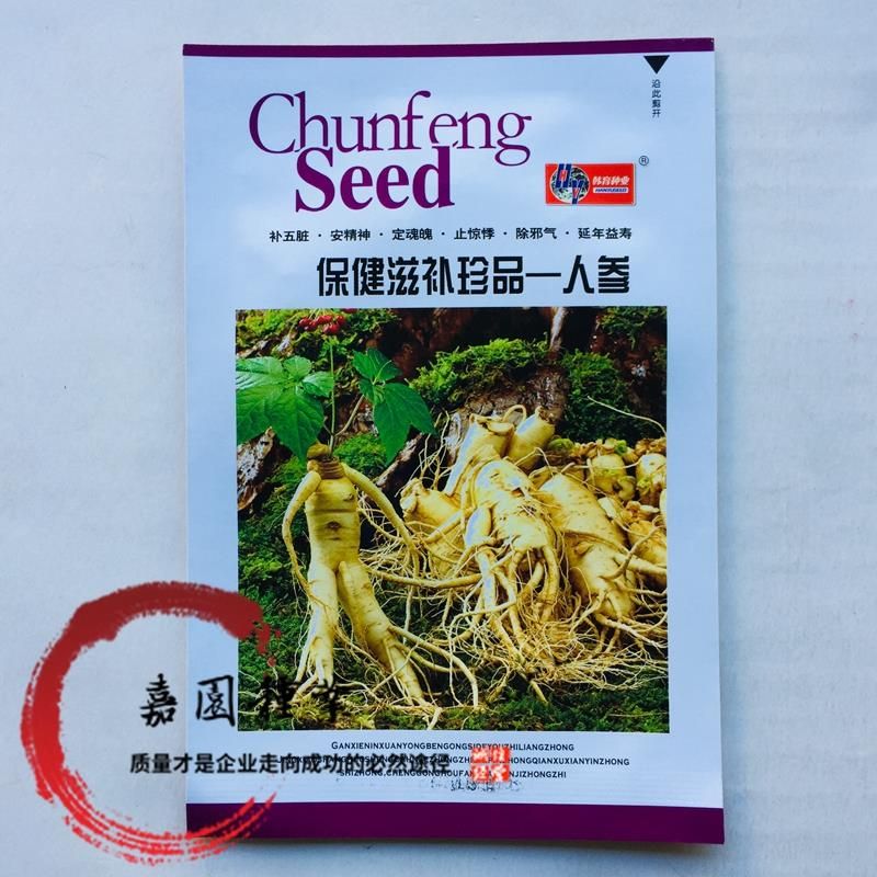 沭阳县人参种苗  包装人参种子包邮