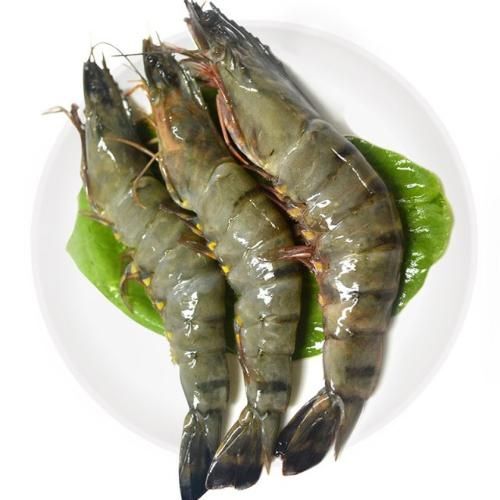 青岛 越南黑虎虾