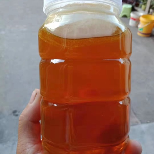桐庐县巢蜜  农村自己养的蜜蜂