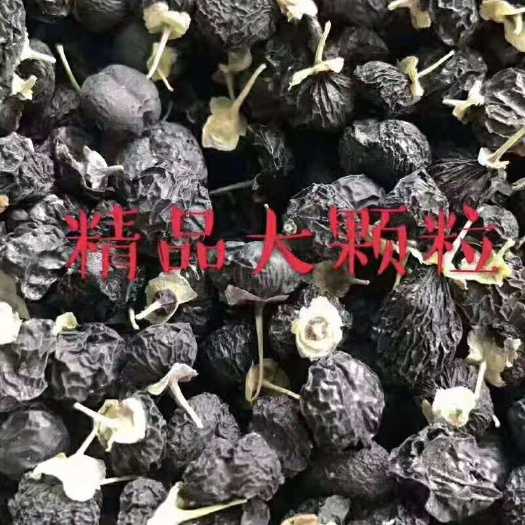 隆德县 供应黑枸杞
