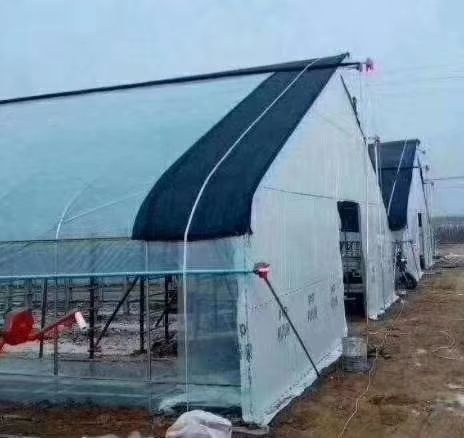 天津蔬菜大棚 专注大棚十五年  专业建棚     使用寿命25年以上