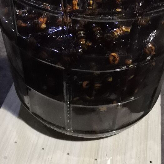 桑植县土蜂 土峰金环酒
