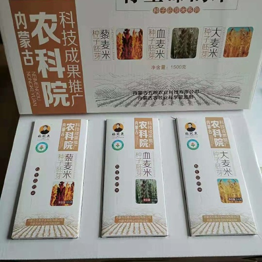 灰藜 内蒙古农科院成果展销中心