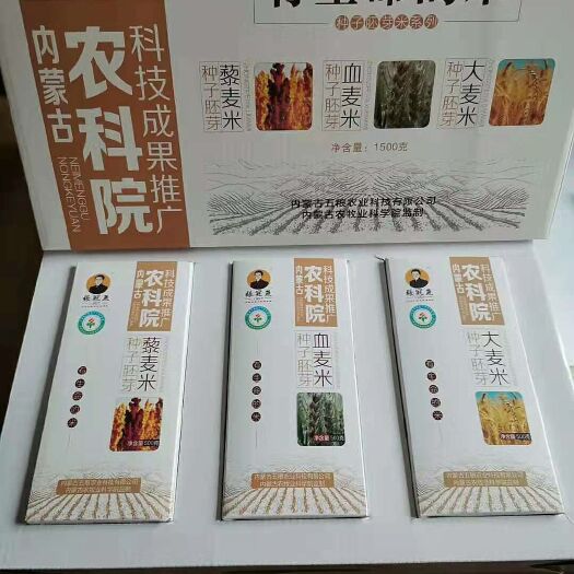 呼和浩特灰藜 内蒙古农科院成果展销中心
