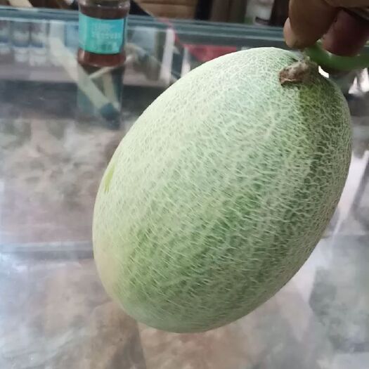 西安红冠哈密瓜 价格合适，有需要联系