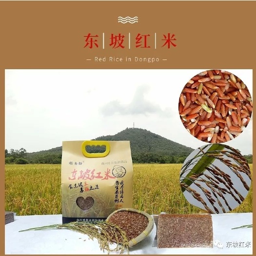 儋州市红细软米  东坡红米，食东坡米，享福之道