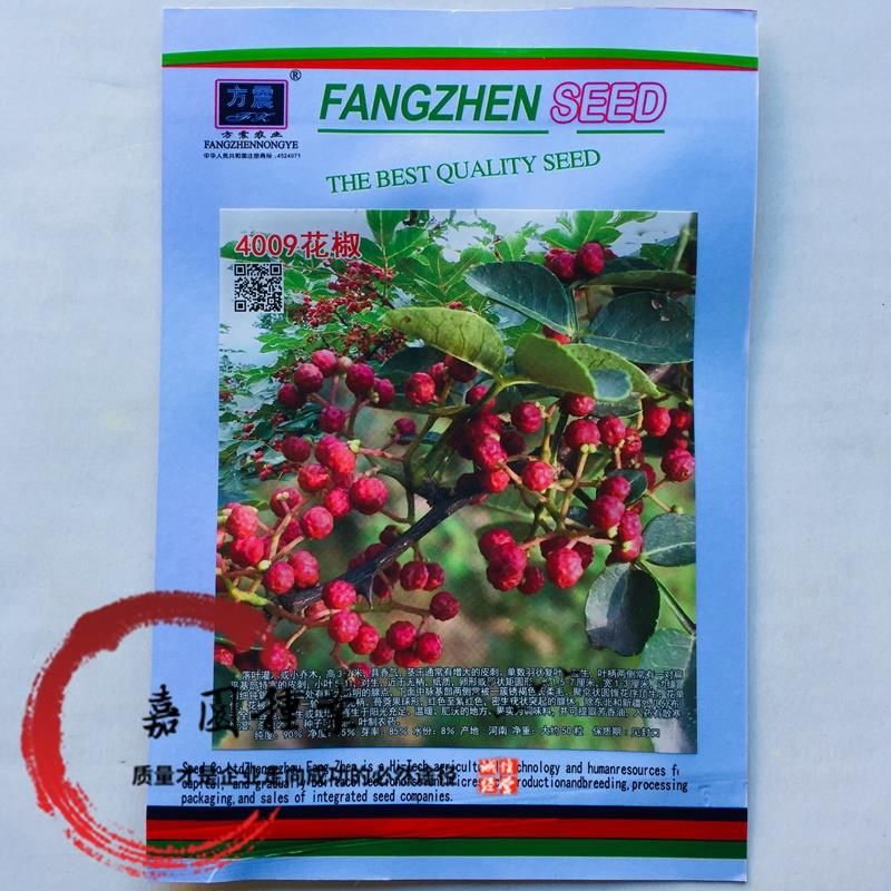 沭阳县花椒种子 花椒树苗种子 大红袍种子 今年新花椒籽种子 食用