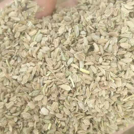 昌邑市 精品胡萝卜种子