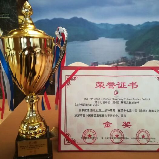 东港市 丹东东港热销水果99九九红颜草莓，20克以上 产地直发