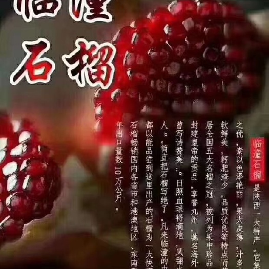 西安临潼石榴  临潼御石榴新鲜现发软籽大白甜非蒙自软籽