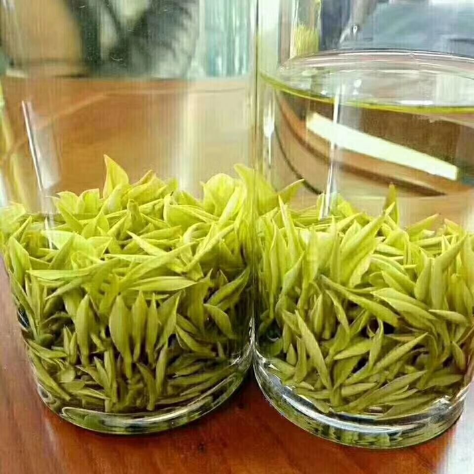 安吉白茶 好山好水出好茶
