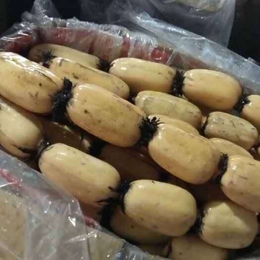 汉川市 莲藕，红菜苔，我们是专业的，品质是最好的，勤劳做事，诚信做人