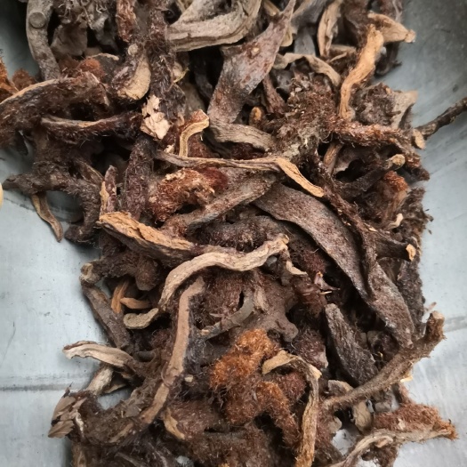 骨碎补（申姜）自然生长干货