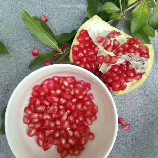 西安 临潼石榴，自家果园，自产自销，现摘现发，天然无公害。