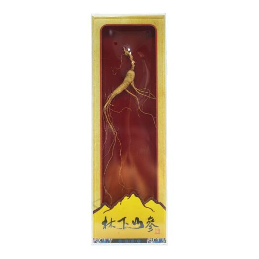 杭州 林下山参