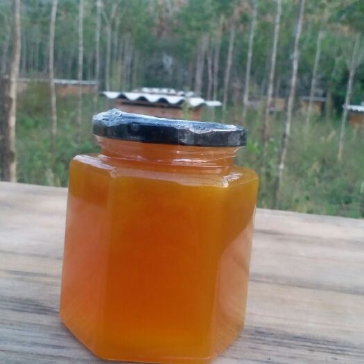 龙里县 出售纯正五倍子蜂蜜（又名土蜂蜜）