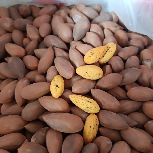 绍兴 黄岩 香榧子诸暨枫桥 香榧500g袋装椒盐味
