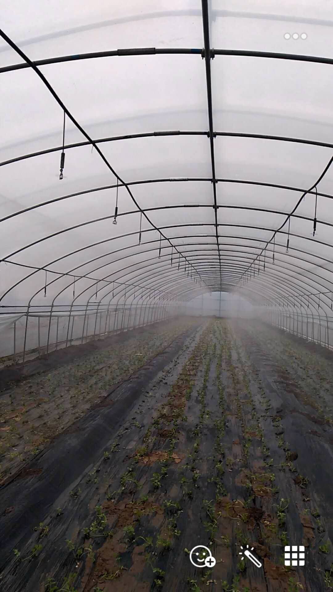 软带  滴灌用主管道或者输水管道，pe材质一寸至四寸库存充