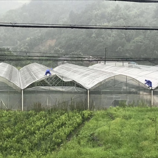 西华县热镀锌管 热镀锌大棚