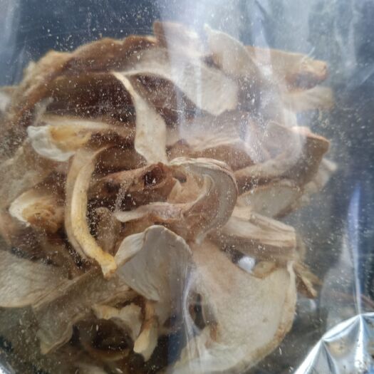  松茸干片