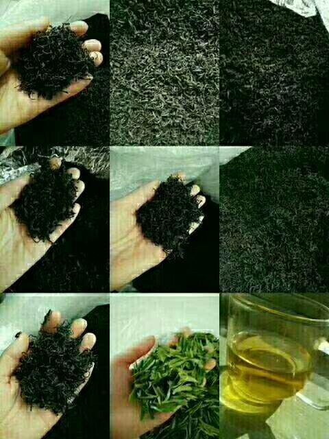 自家种植海阳绿茶，红茶，味道幽香，底肥用的农家肥加大豆发酵，