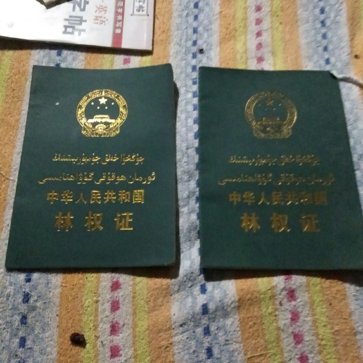 和硕县果园 找合伙人，非诚勿扰！流转，买断都可以！！流转每亩每年280元
