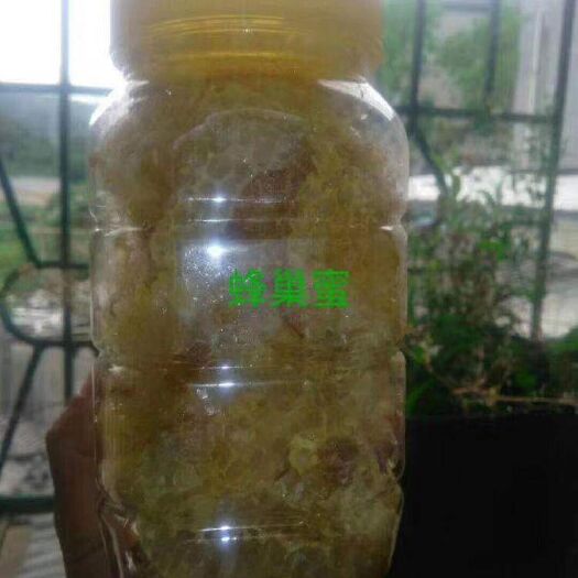 厦门 纯正野生蜂蜜