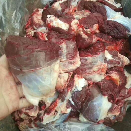 阳信县牛肉类  牛坠肉