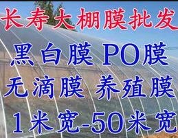 绿白膜 长寿膜黑白膜灌浆膜流滴膜水晶PO膜黑白地膜蔬菜专用膜