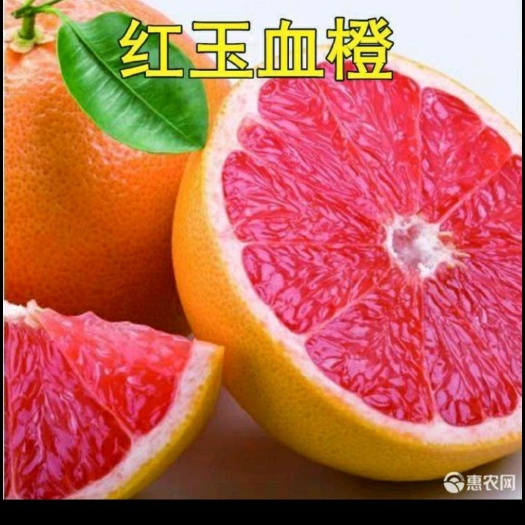 平邑县 嫁接血橙苗全国包邮，死苗补发，包成活
