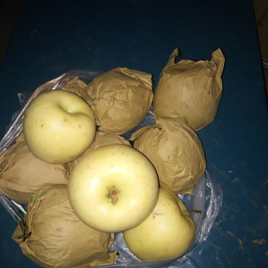 秦皇岛 秦皇岛抚宁山区苹果口感好，另有其他品种欢迎新老客户前来选购。