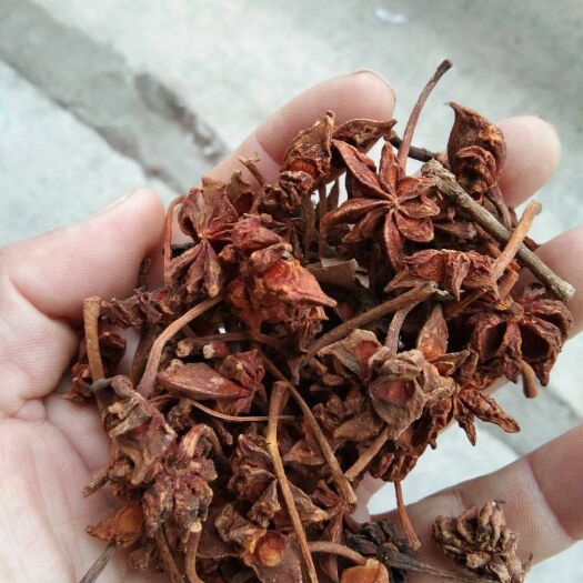 玉林 春花八角