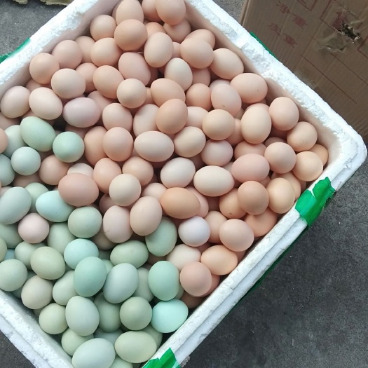 桂林 土鸡蛋，不但土更要鲜，
