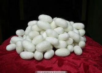 德保县 自产自加工蚕丝，假一倍十。有想法的赶下单哦！