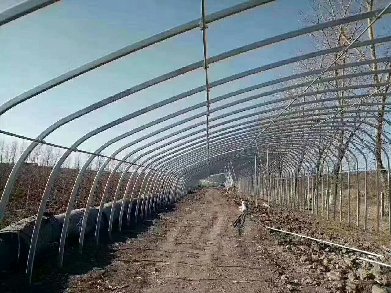  钢管大棚骨架