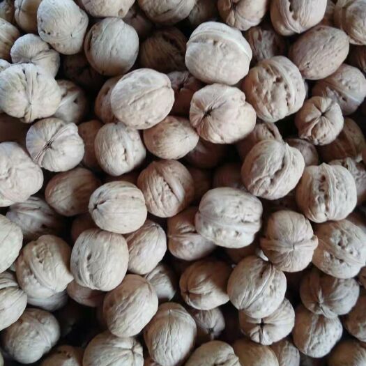 赞皇县 2019年辽一薄皮核桃新货（小果）