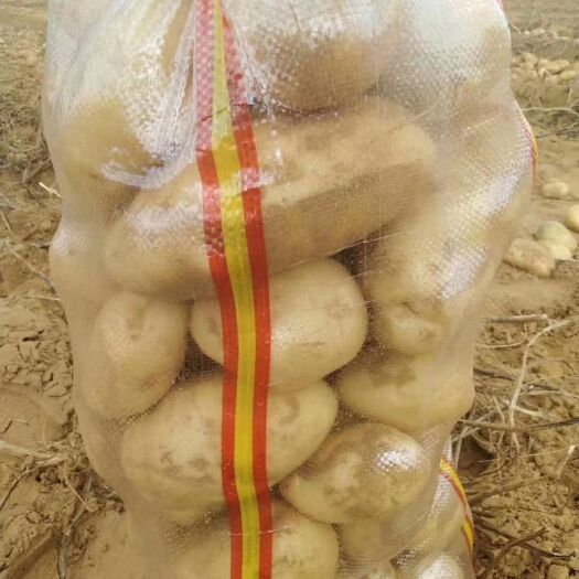 定边县土豆  一手货源，保质保量，货原充足，量大从优，诚信经营