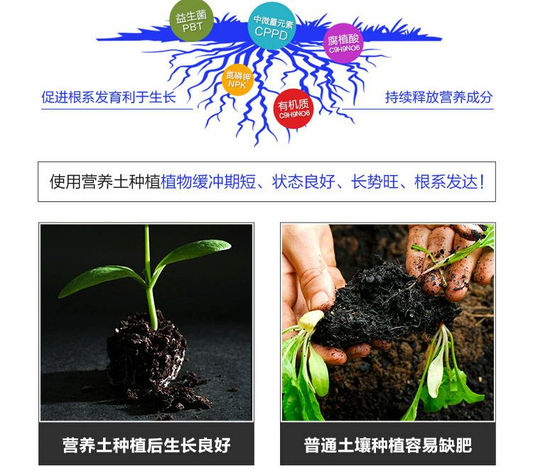  花土营养土大花土多肉土花卉肥料泥炭土种植土花泥绿萝多规格