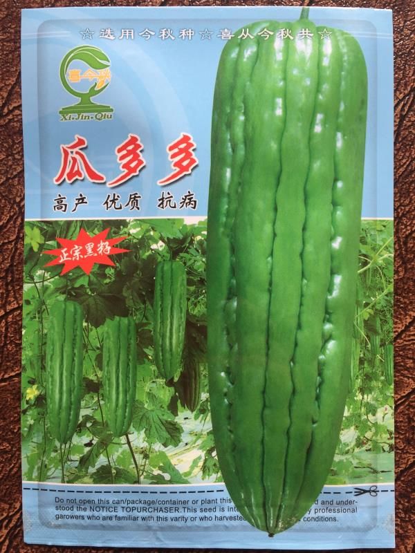 绿苦瓜种子  瓜多多黑籽苦瓜种 早熟 高产 优质 抗病