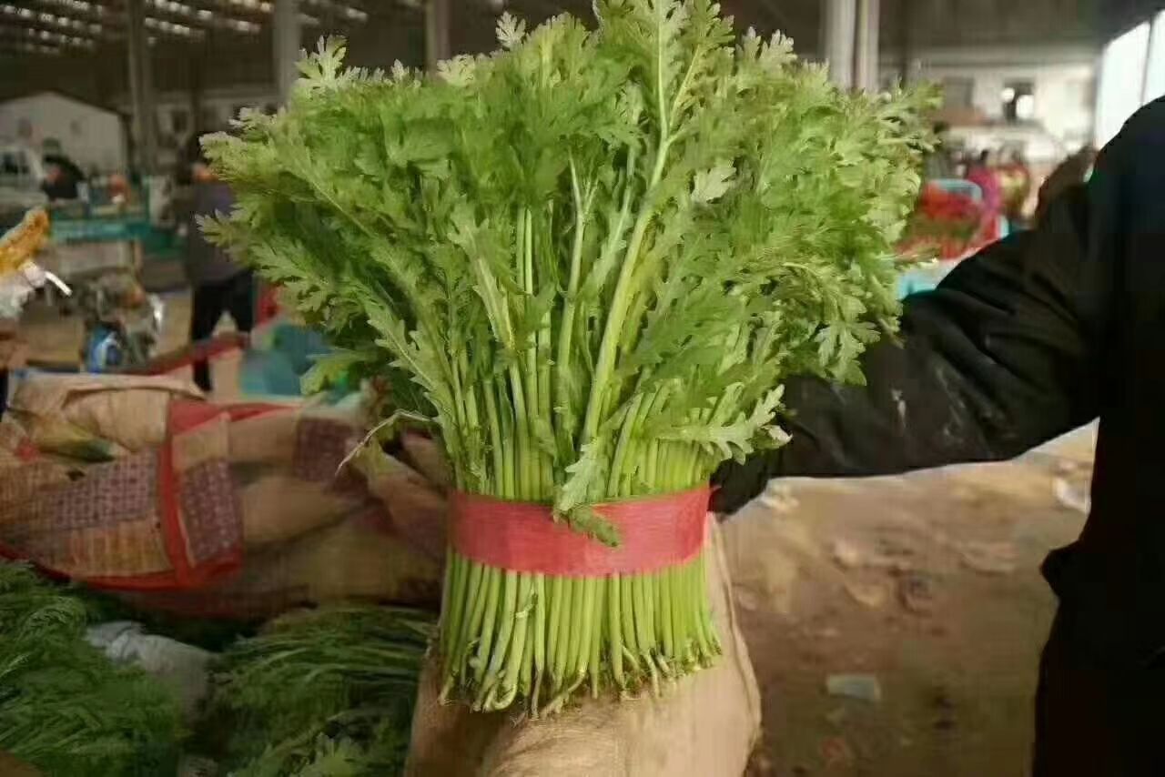  菠菜，香菜，油麦，茼蒿，生菜