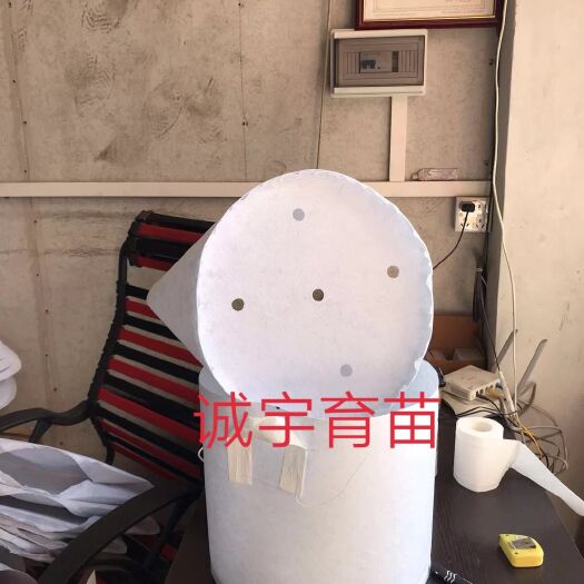 怀宁县无纺布袋 美植袋