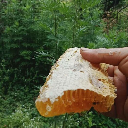 盈江县 野生土蜂蜜